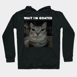 Wait I'm Goated Hoodie